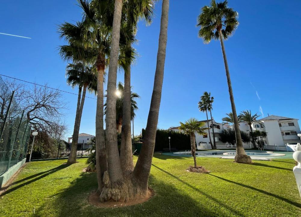 Apartamentos Cap Y Corp Alcossebre エクステリア 写真